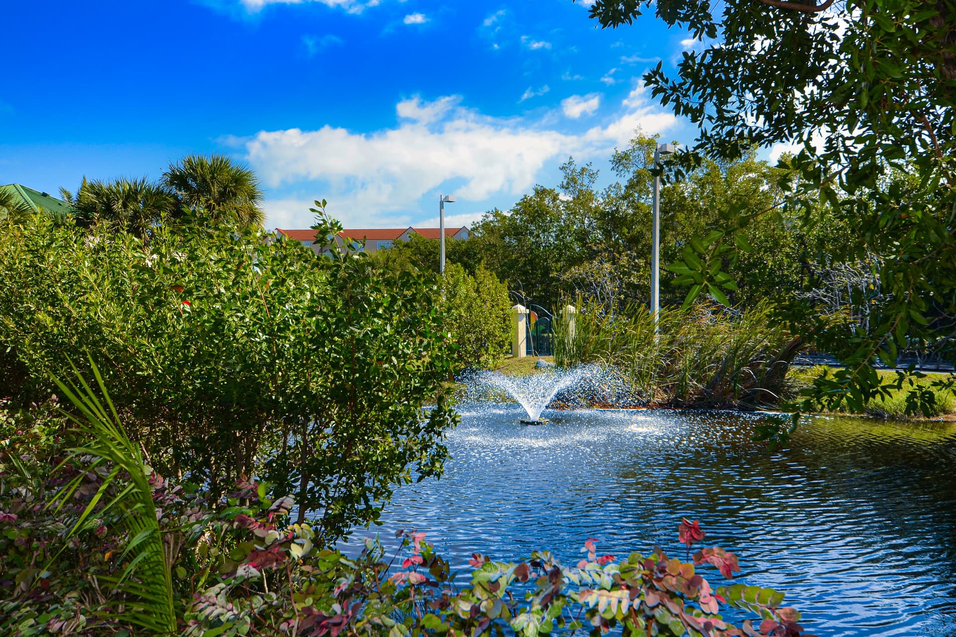 Cayo Coco Suite - Image 30