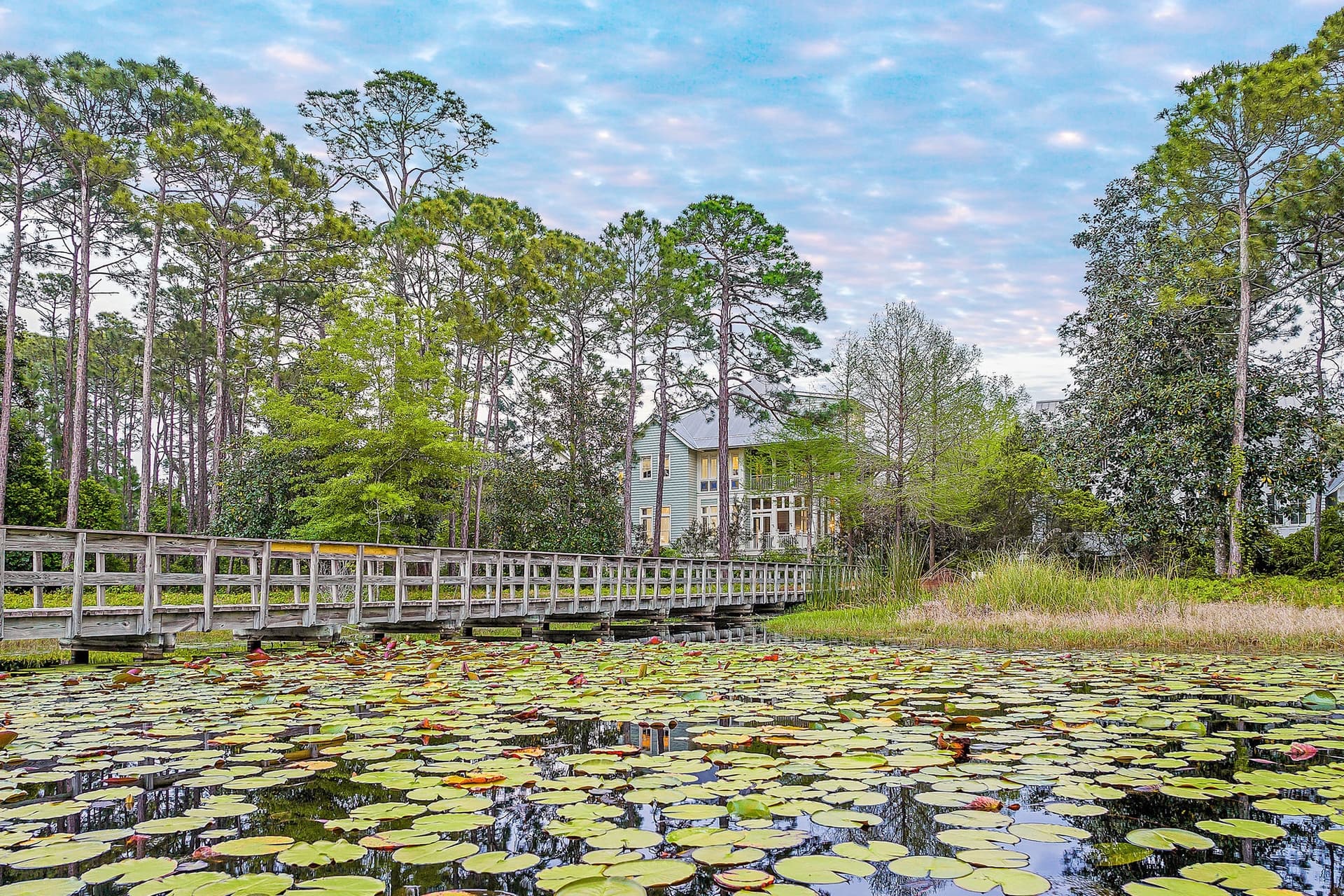 Seabbatical - Image 67