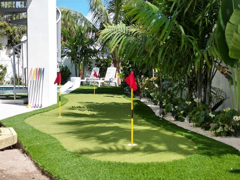 TipSea Turtle - Image 60