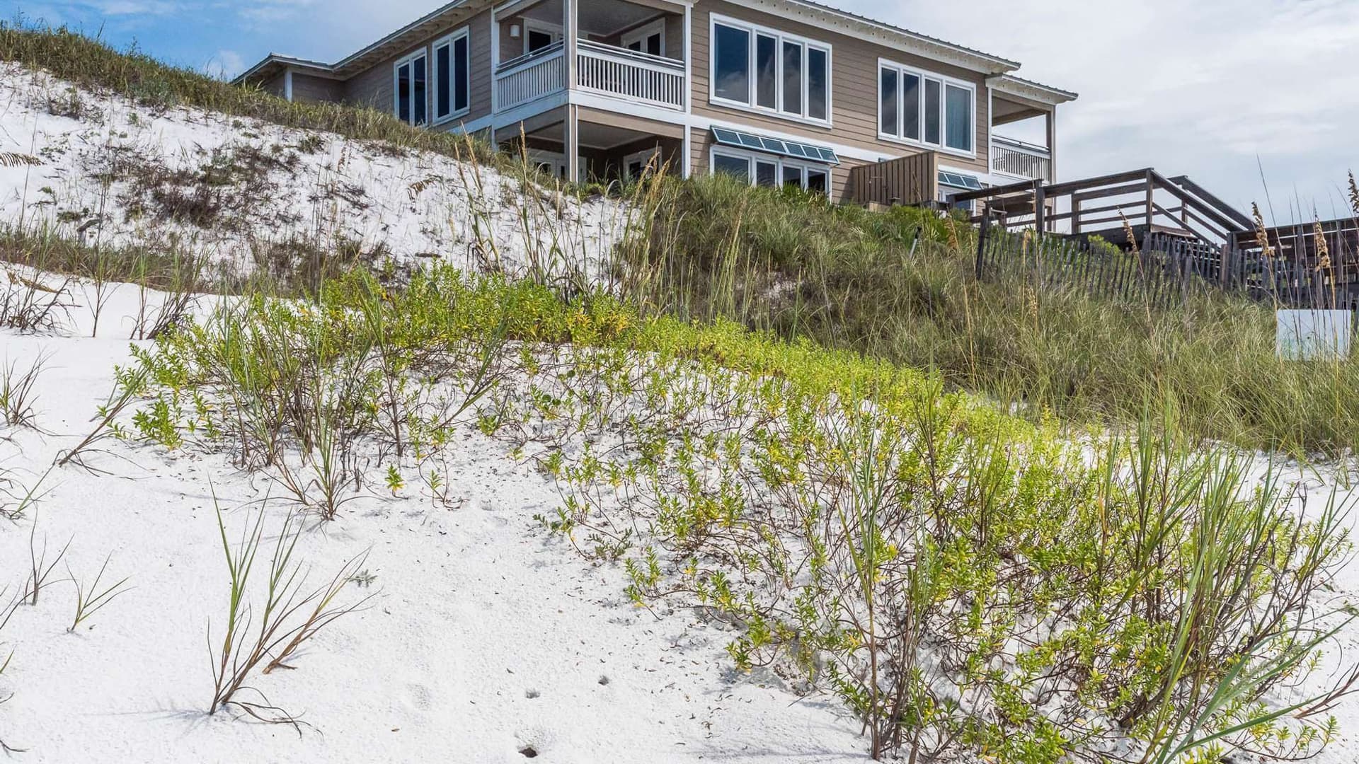 Pelican Paradise A - Image 55