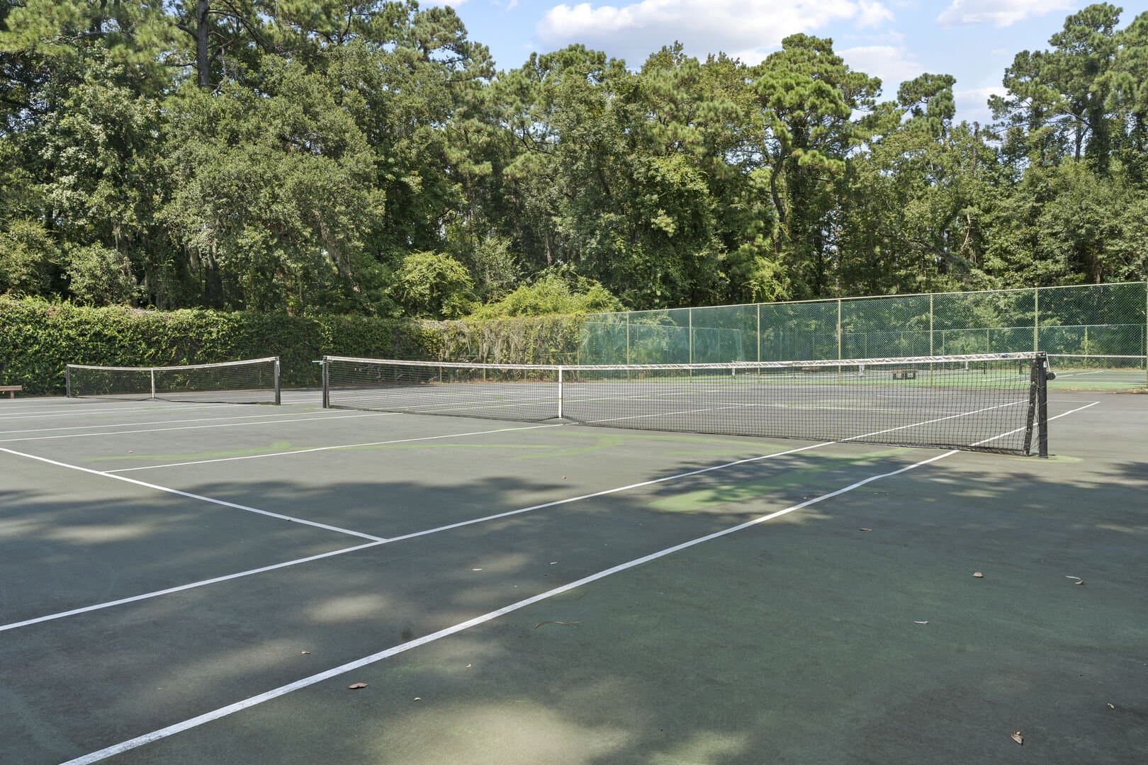 Sweet Carolina - Image 38