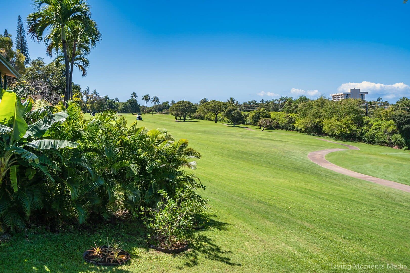 Kaanapali Hini Home - Image 73