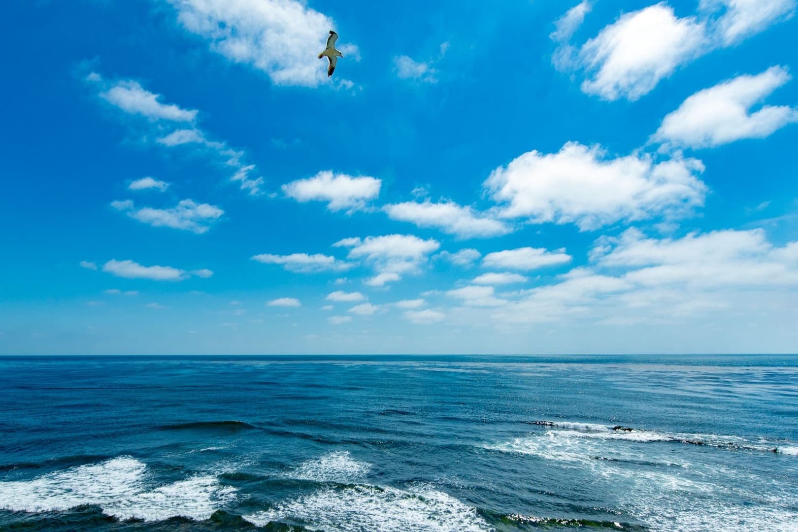 Dolphin Home - Image 16