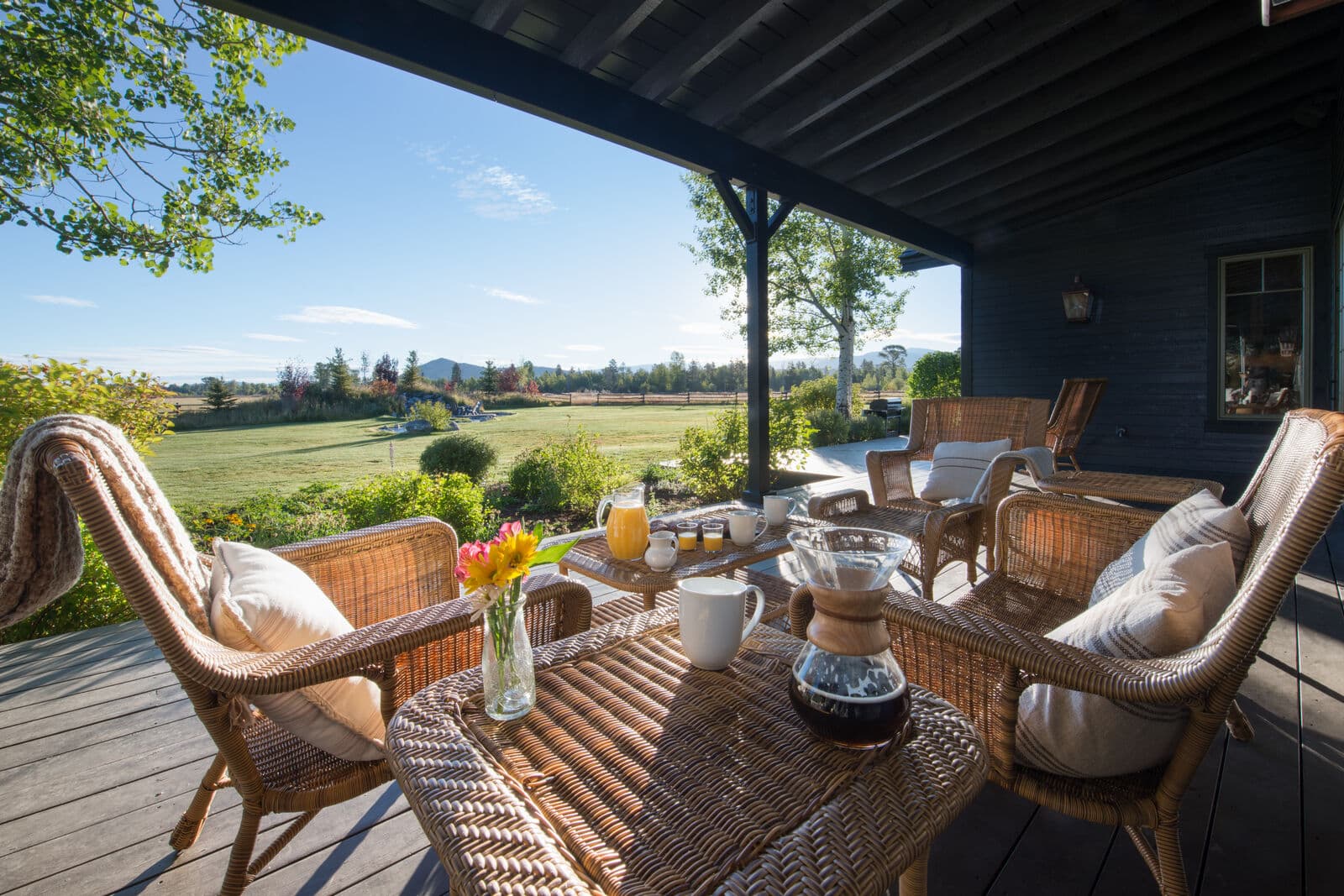 Open Meadows - Image 3