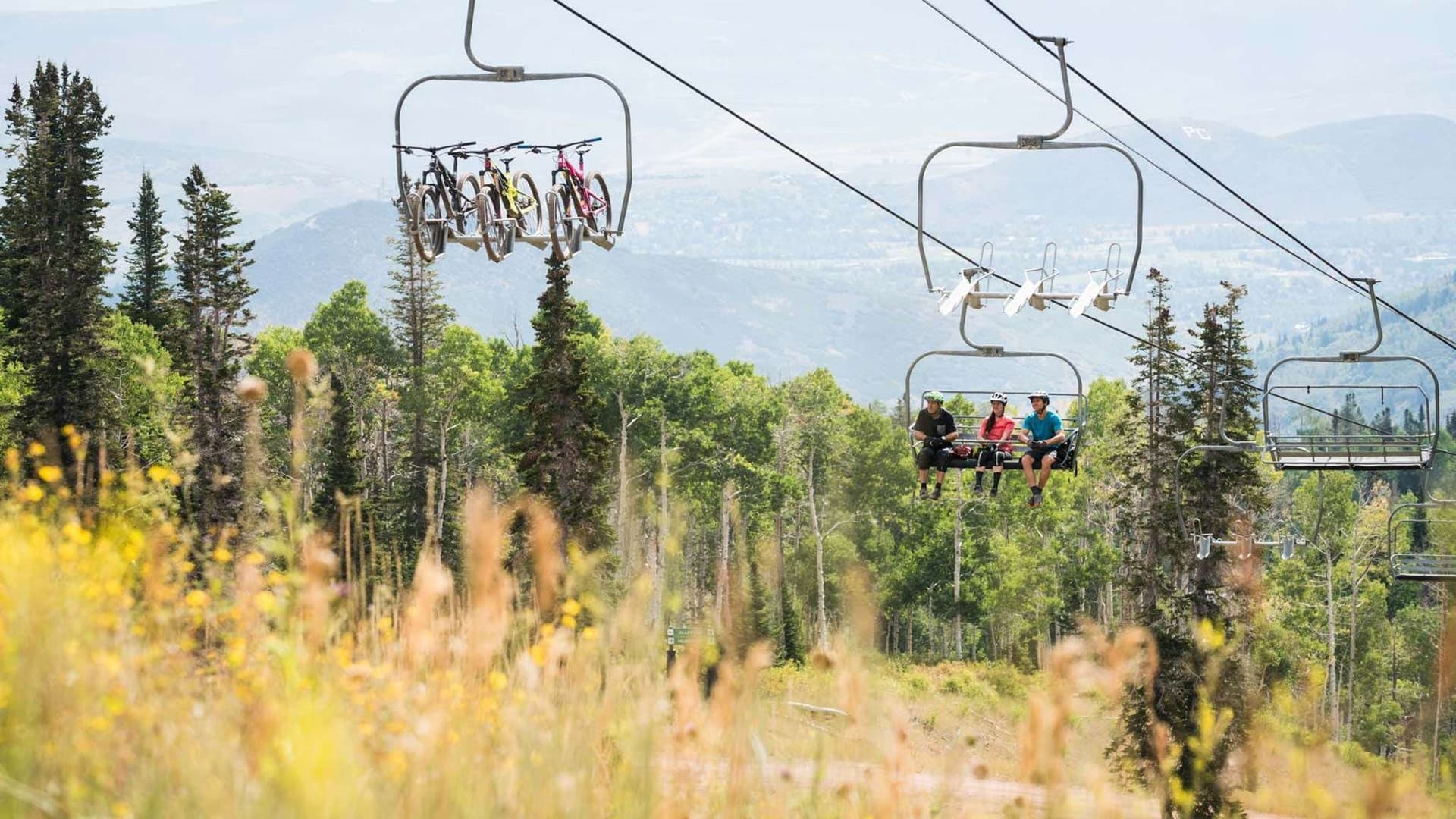 Sneaux Shack - Image 68