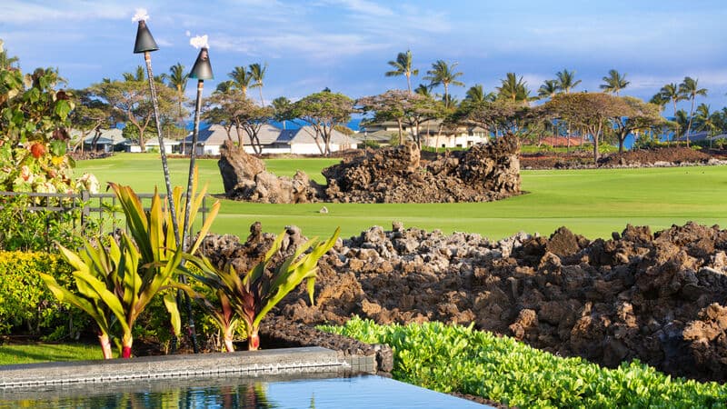 Elegant Escape - Image 38