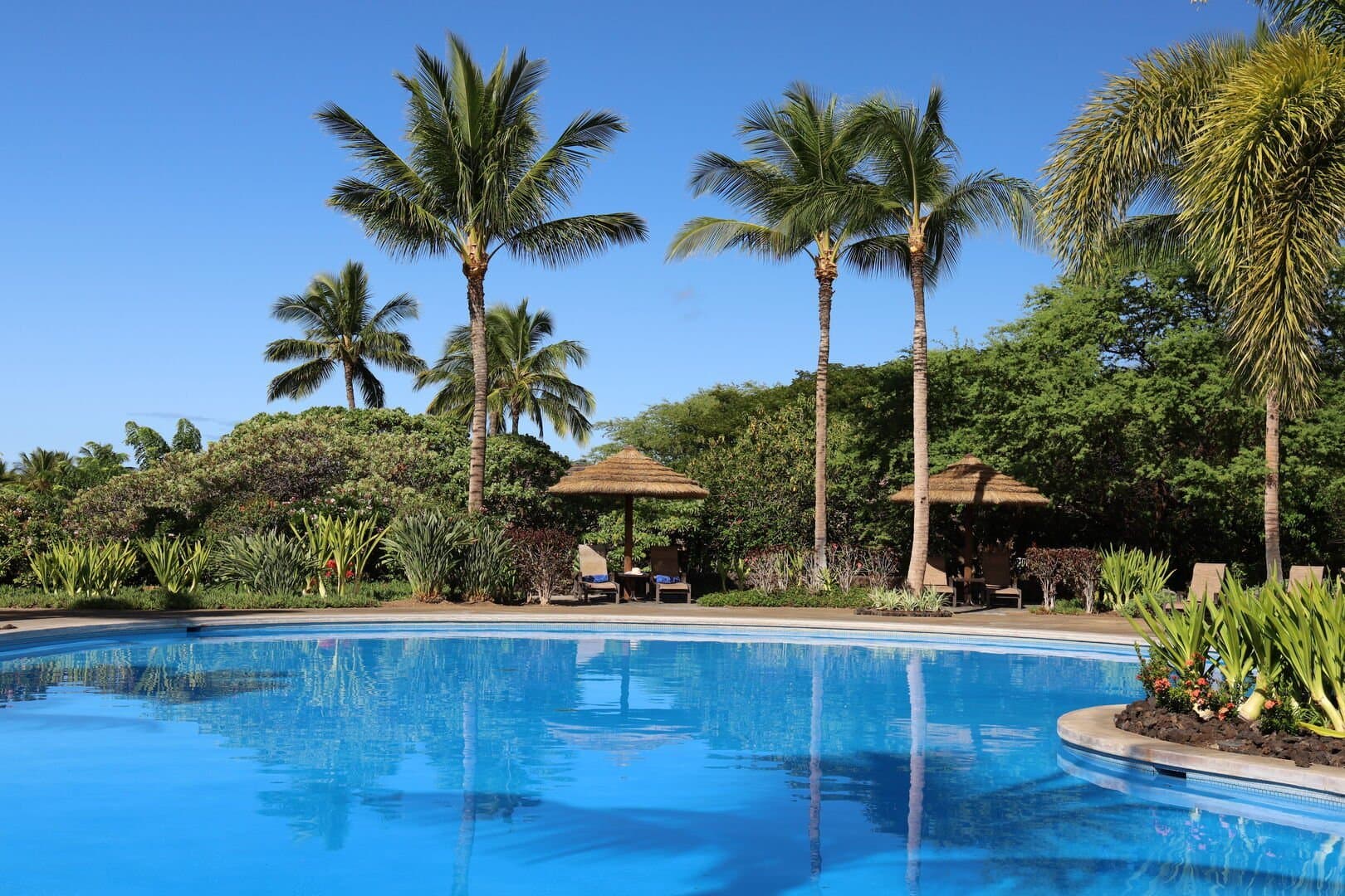 Kohala Haven - Image 36