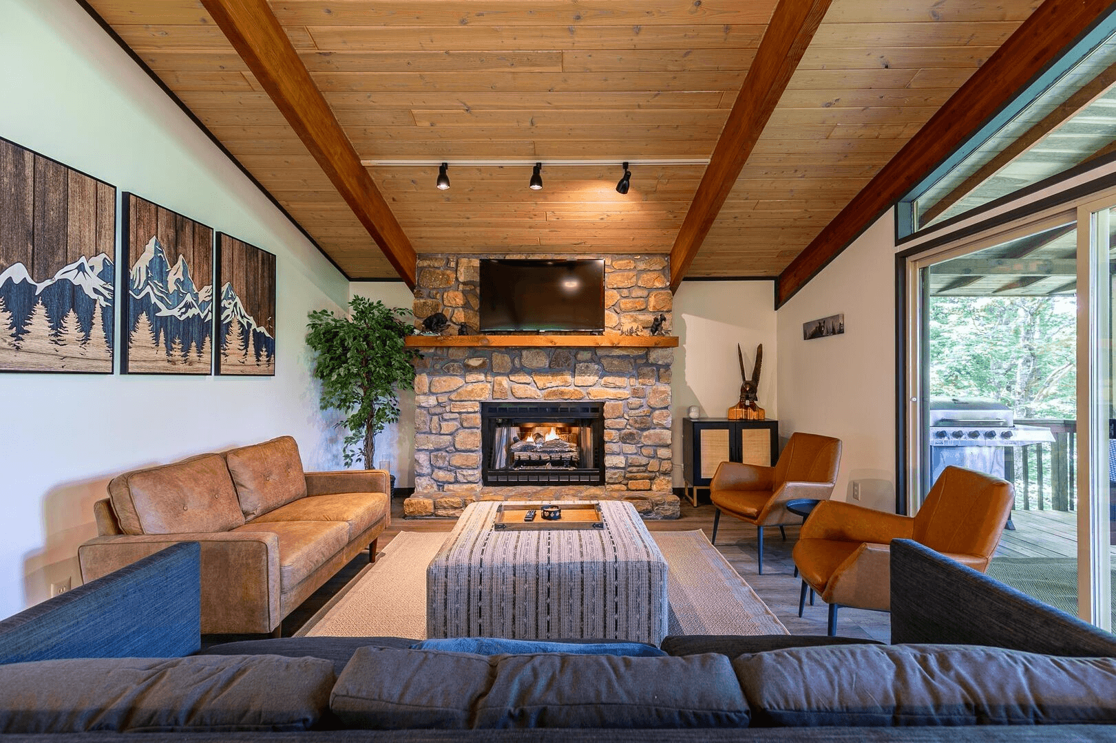 Chasing Birdies - Image 4