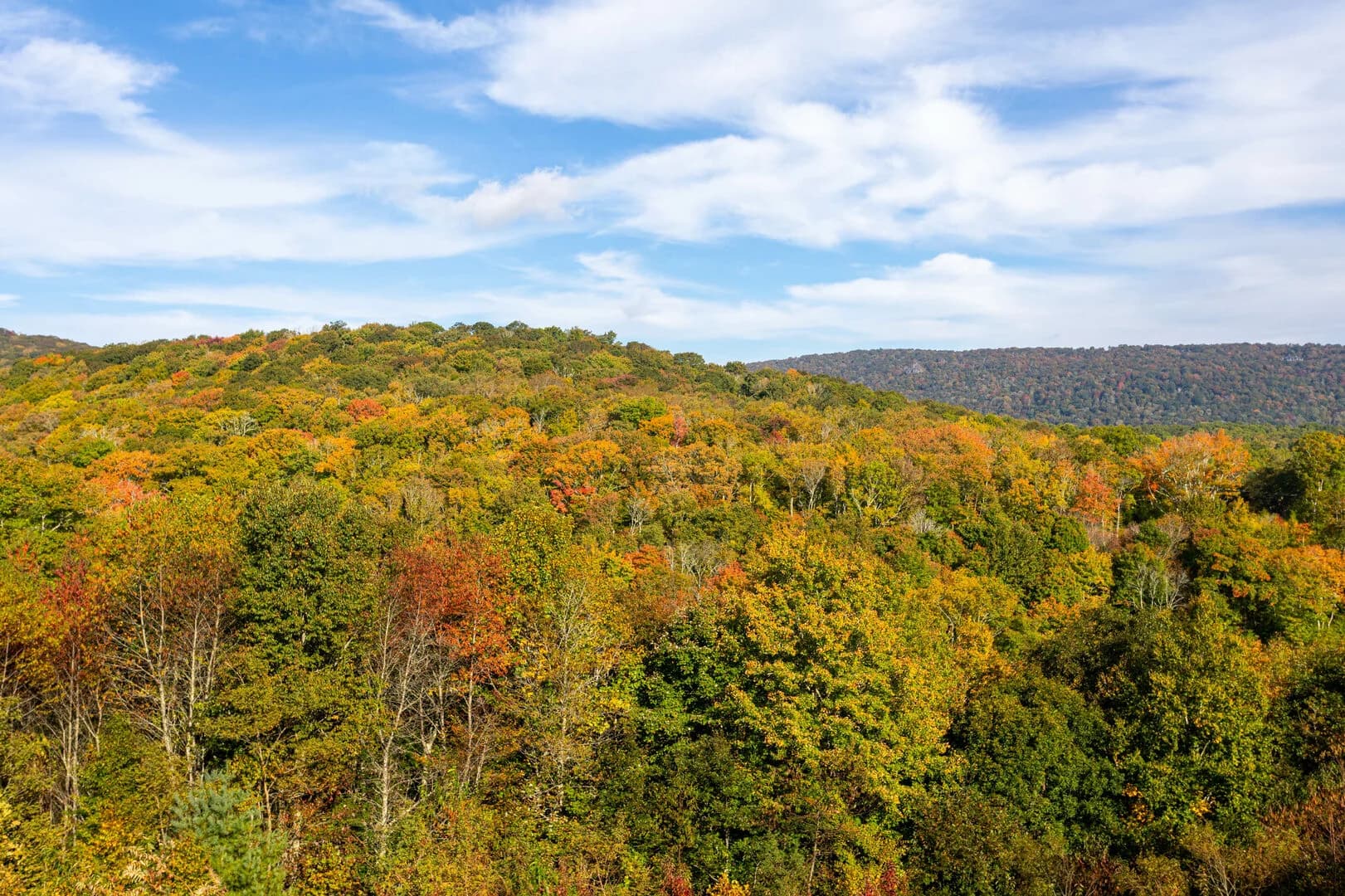 Overlook at Wilderness Trail - Image 54