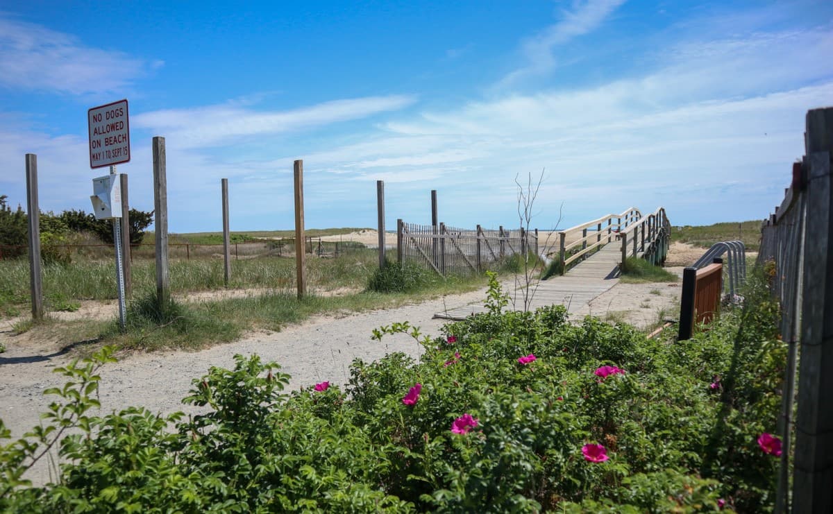 Eileen's Escape - Image 35