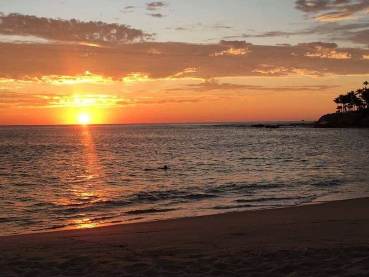 Coco Palma - Image 16