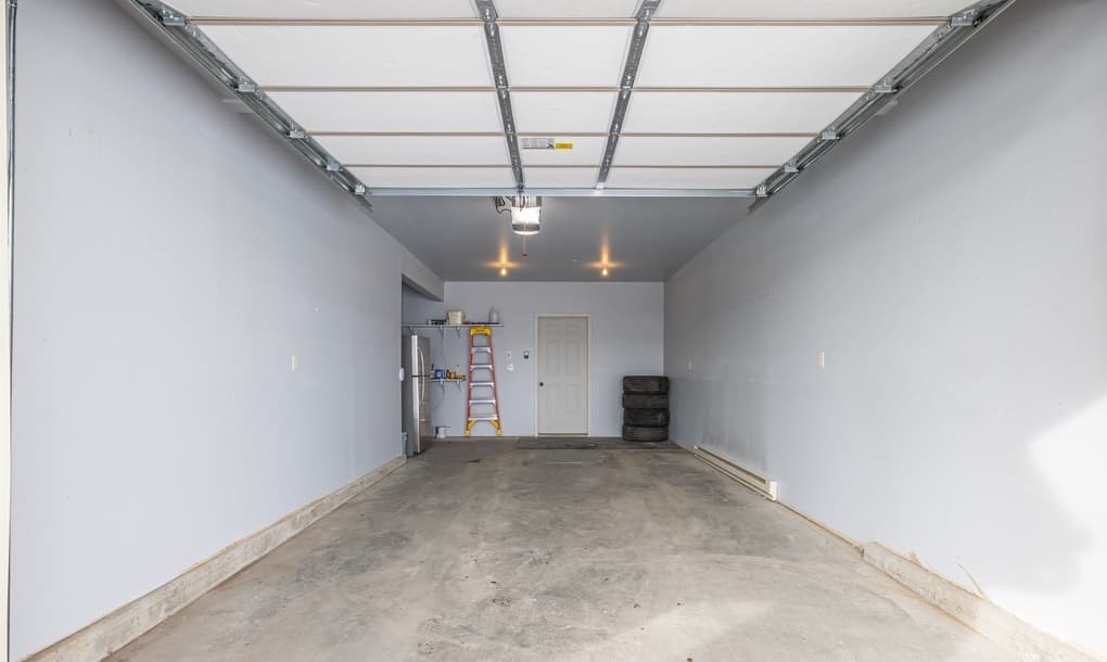 Blacktail Buck - Image 22