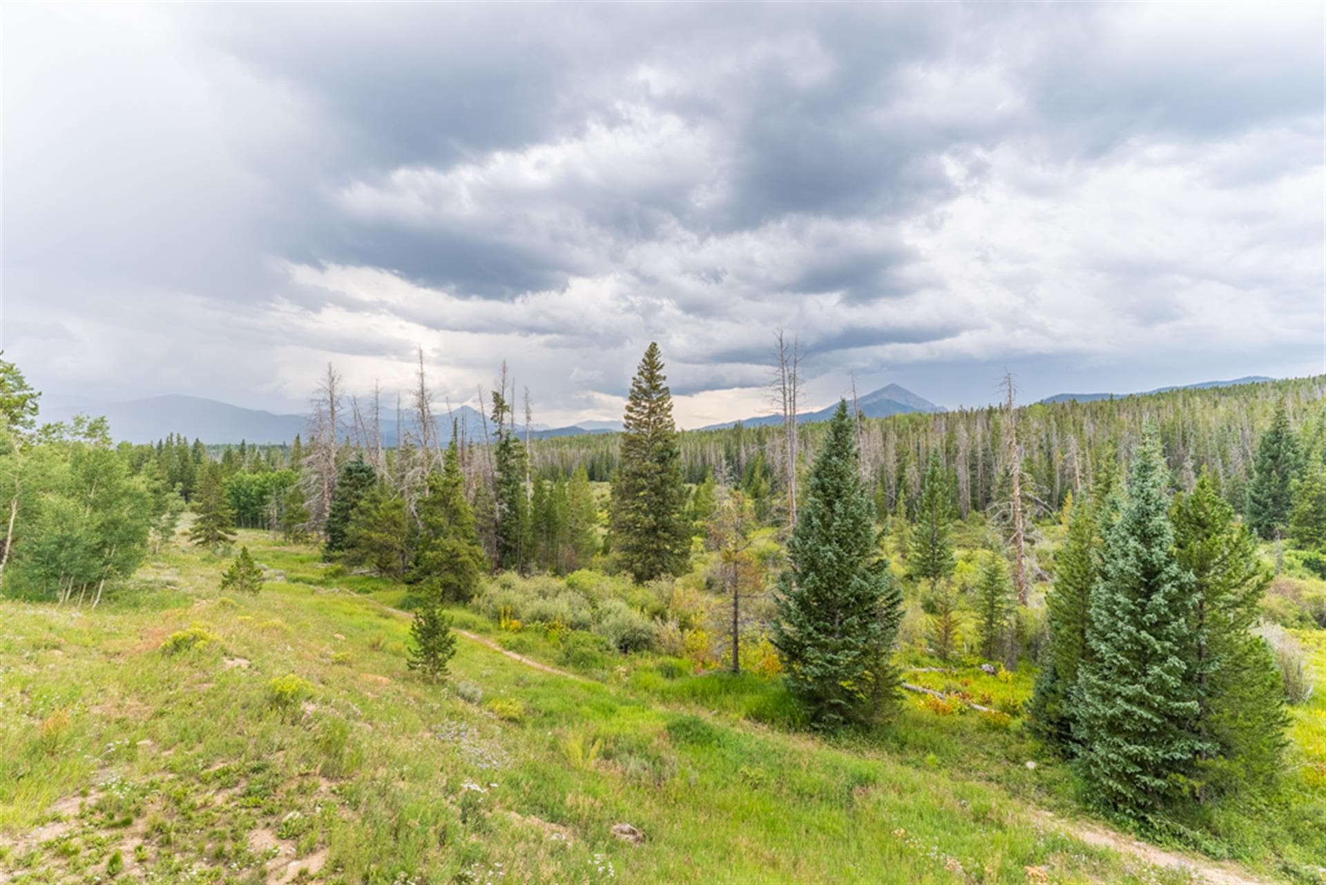 Watch Hill - Image 9