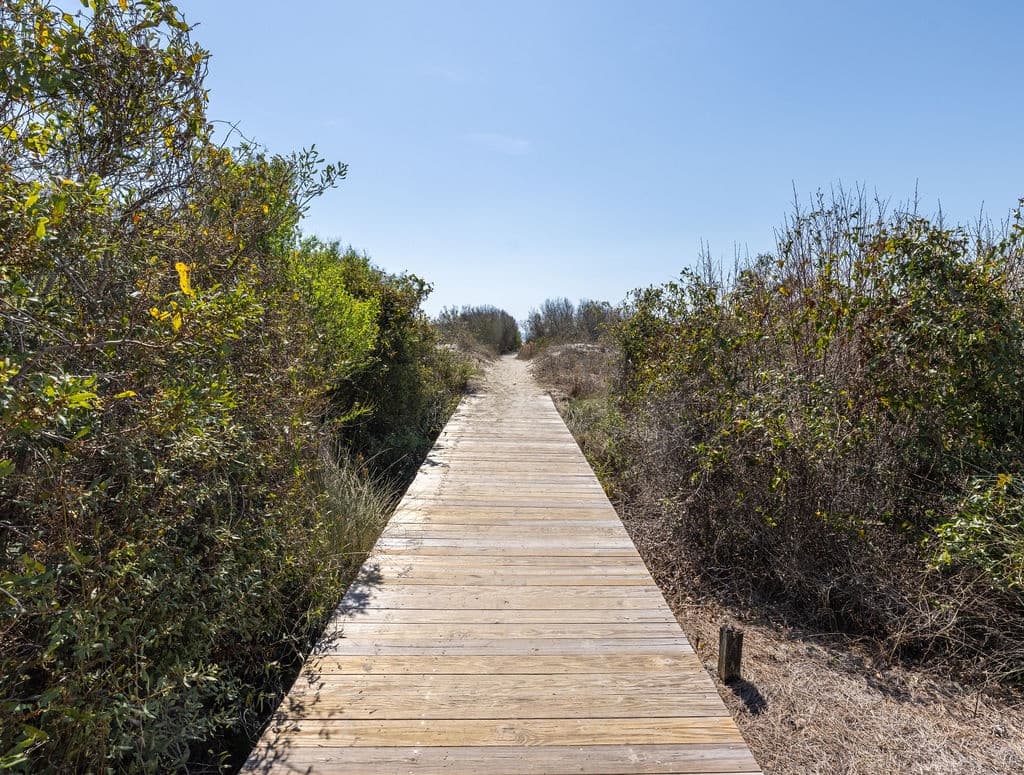 Blue Haven #06 - Image 56