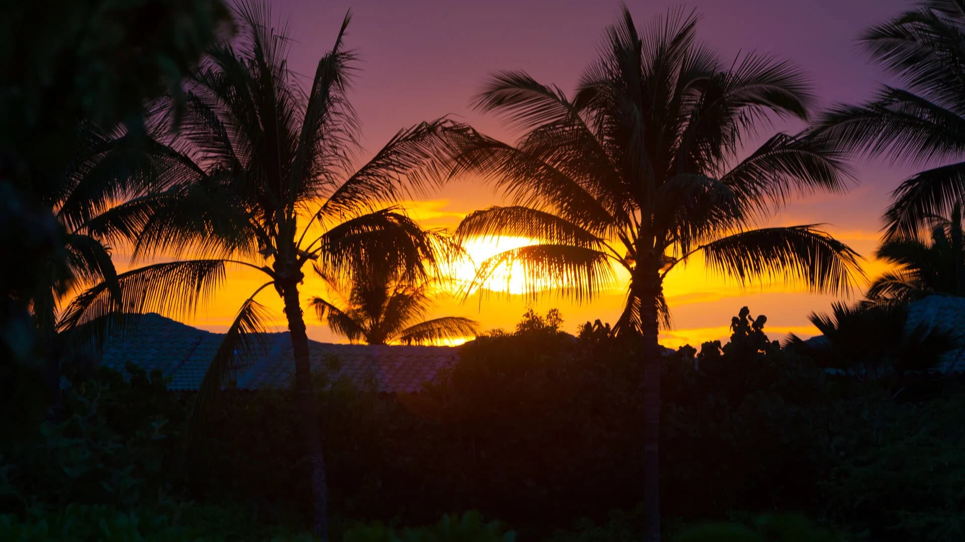 Tropical Breezes Villa - Image 41