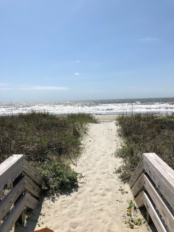 Oceanwatch - Image 7