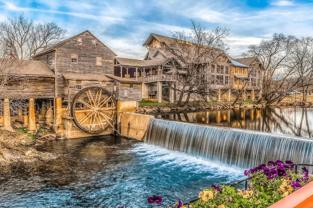 Bear Tracks - Image 30