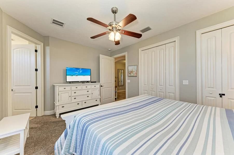 Island Nautilus - Image 16