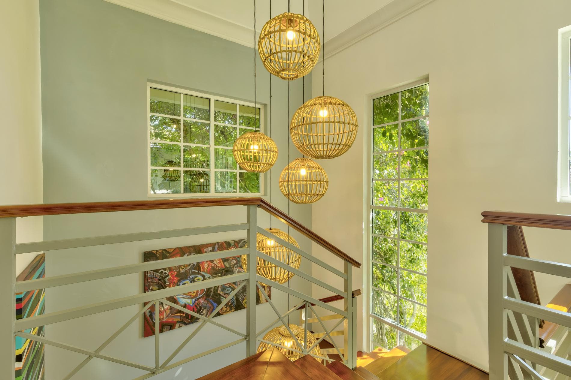 Tortuga #B55 - Image 9