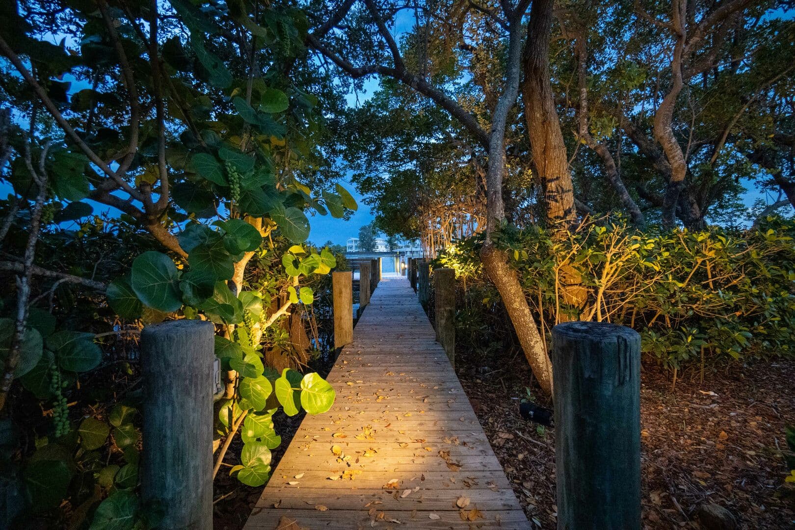 Bimini Cove Place - Image 54