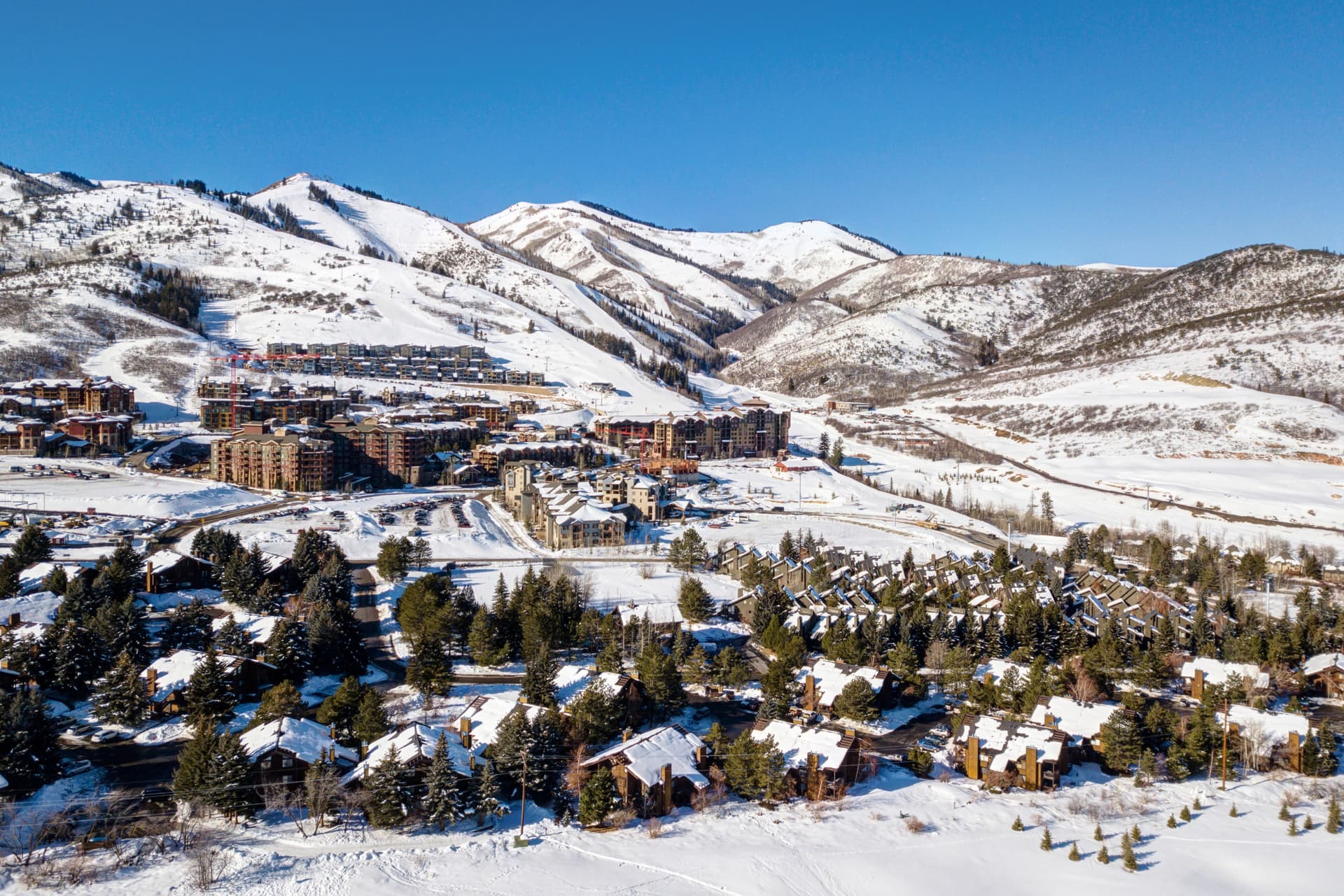 Red Pine Wonder Home - Image 6