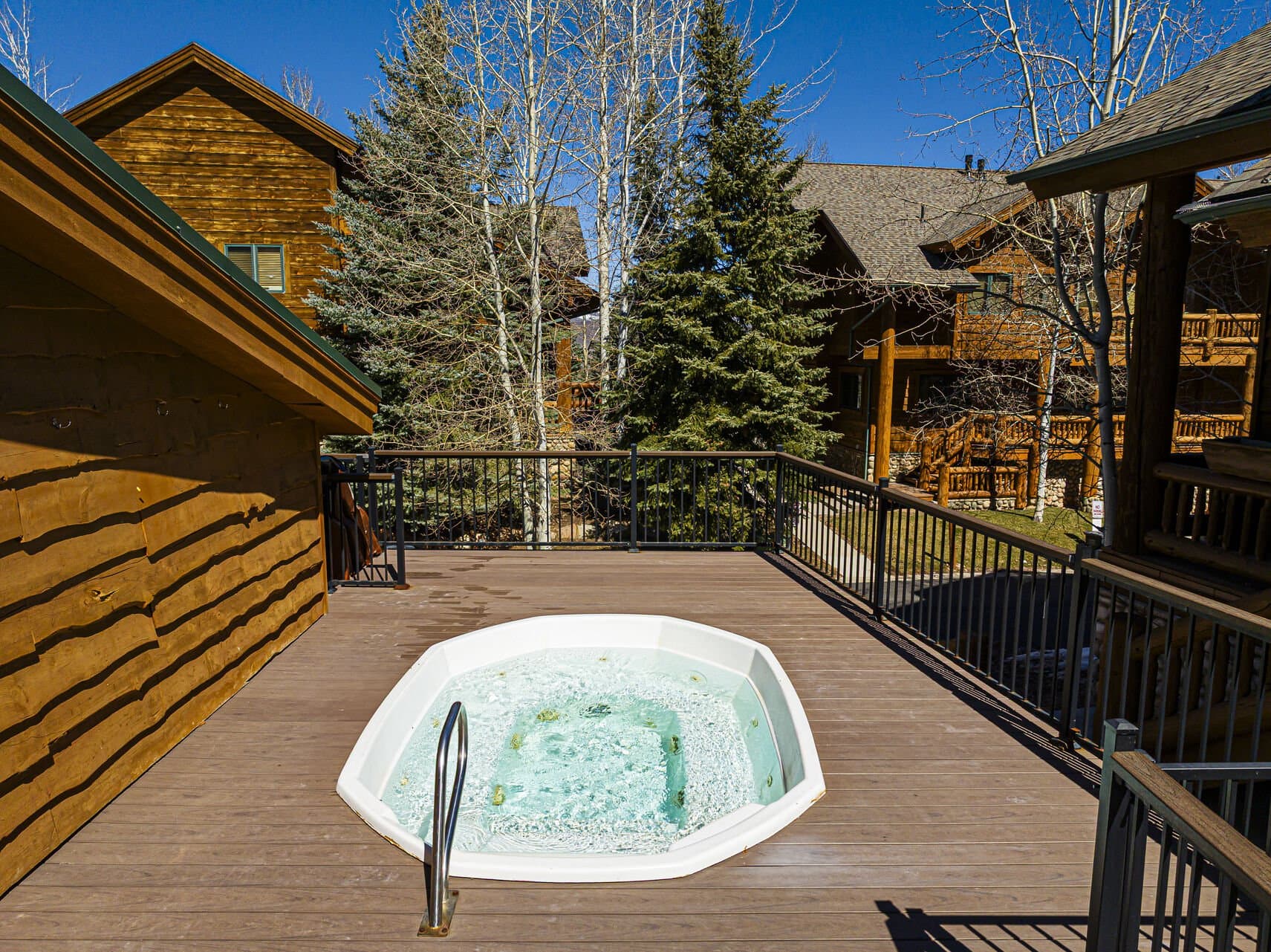 TimberWolf Den #1D - Image 3