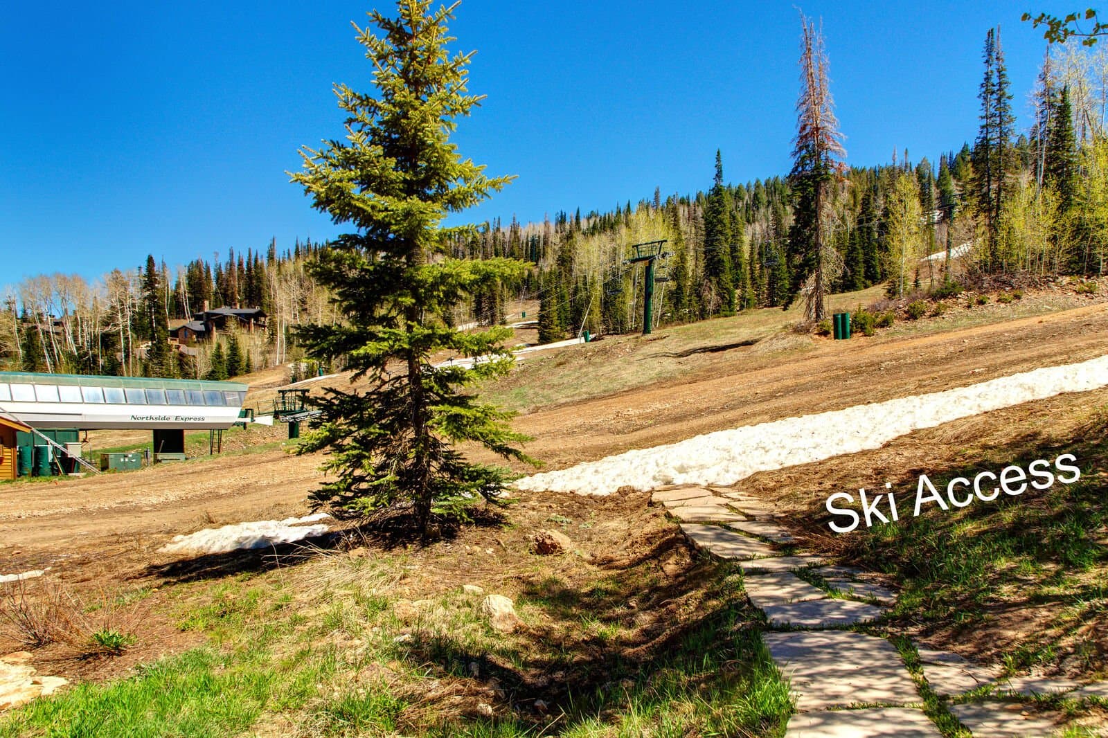 Star House - Image 45