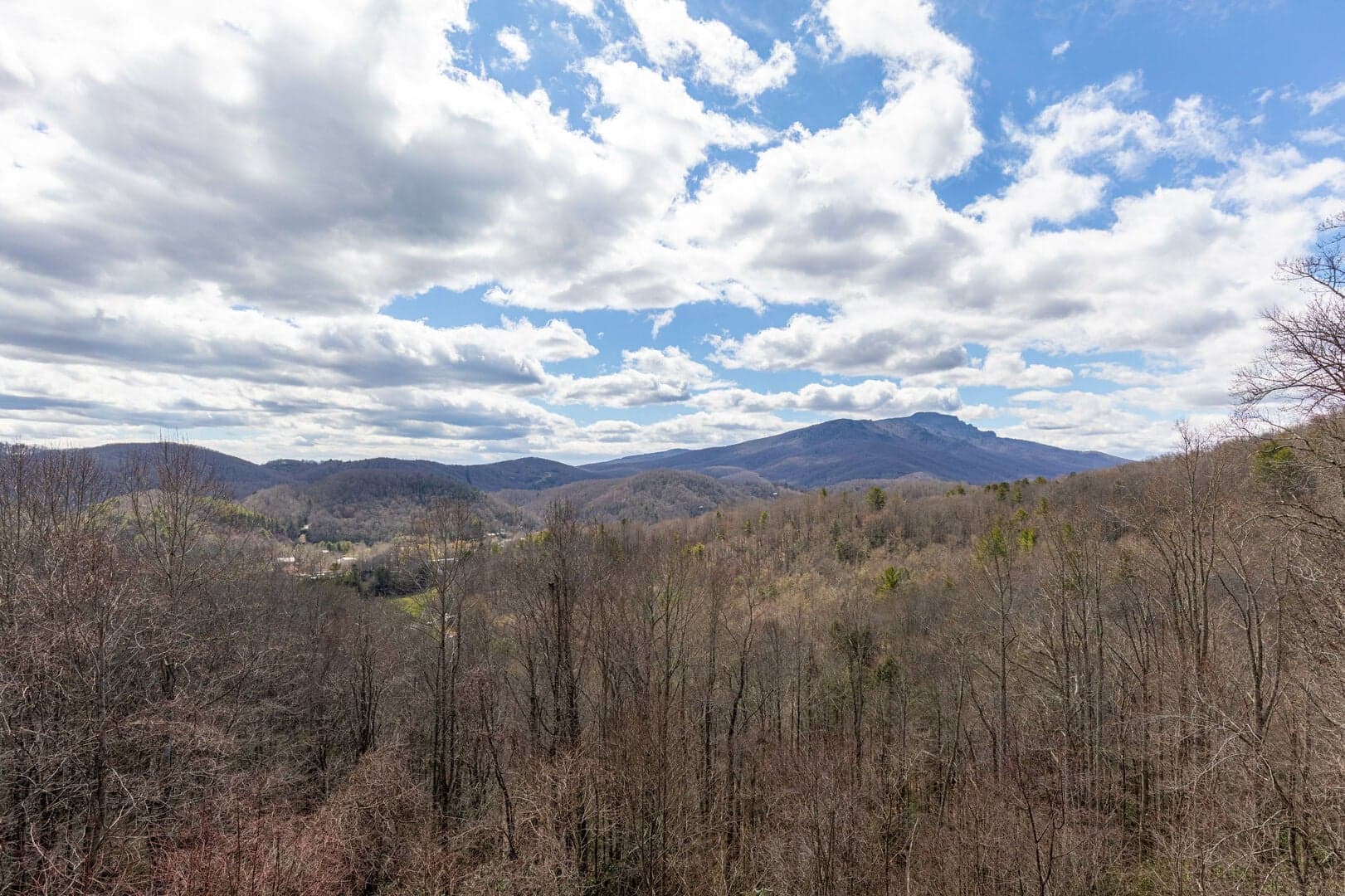 Beary Relaxing Cabin - Image 48
