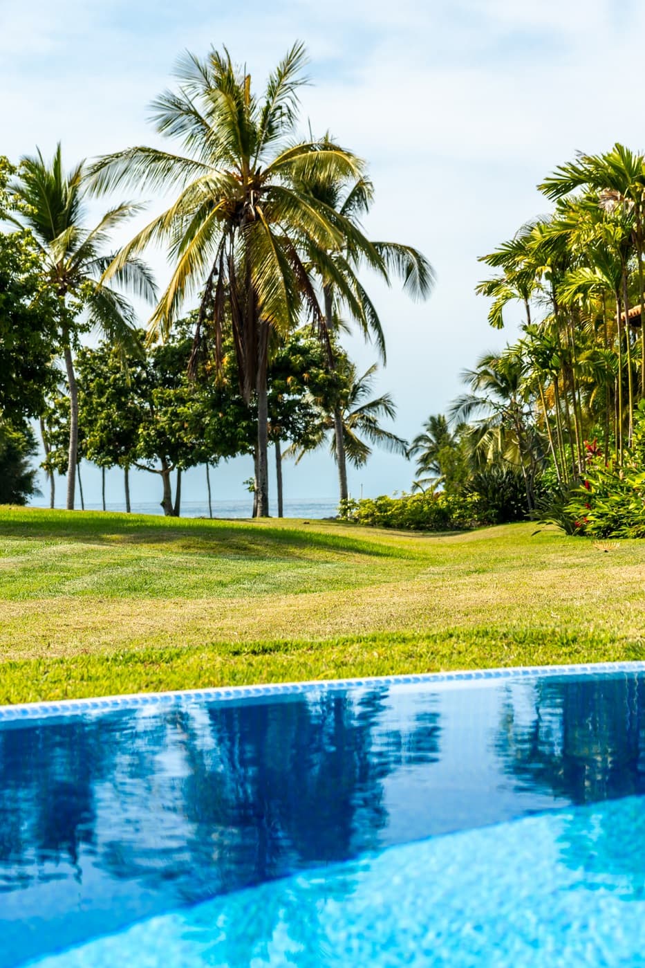 Las Palmas #5 - Image 30