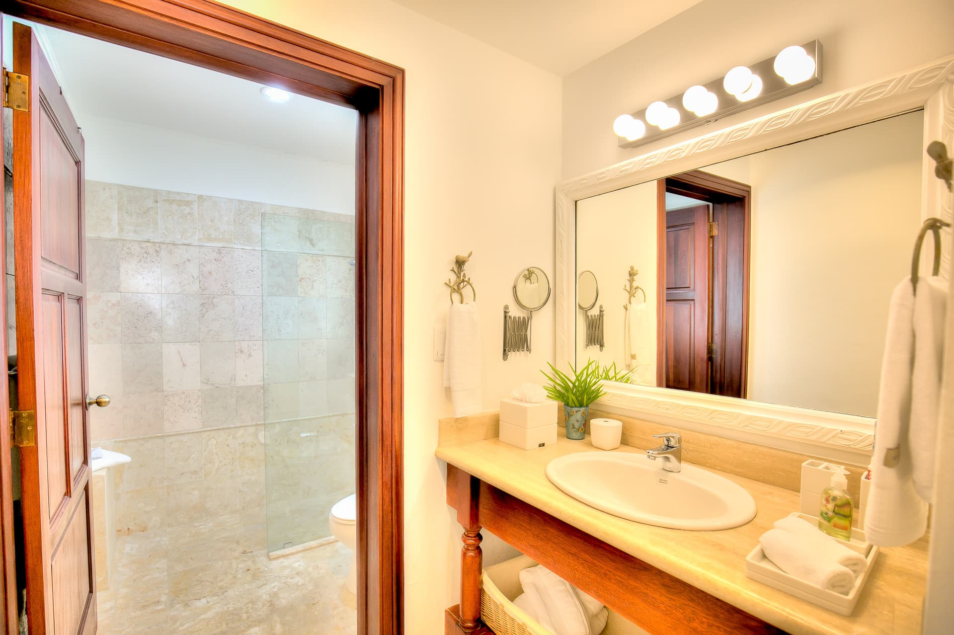 Tortuga Azul - Image 8