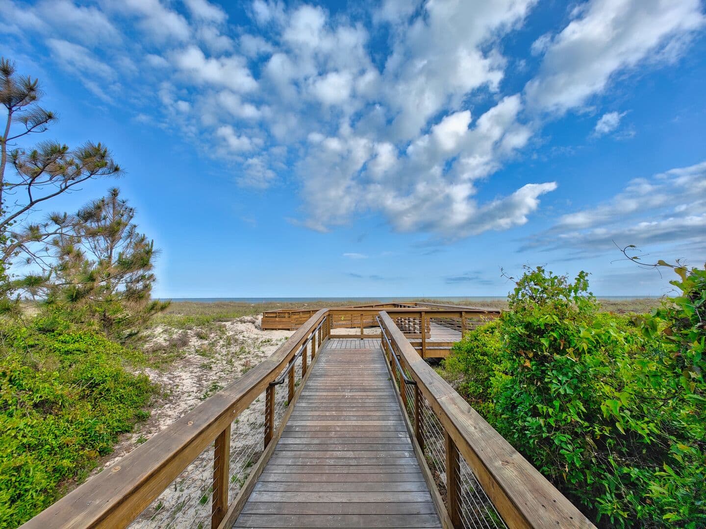 Turtle Tides - Image 73