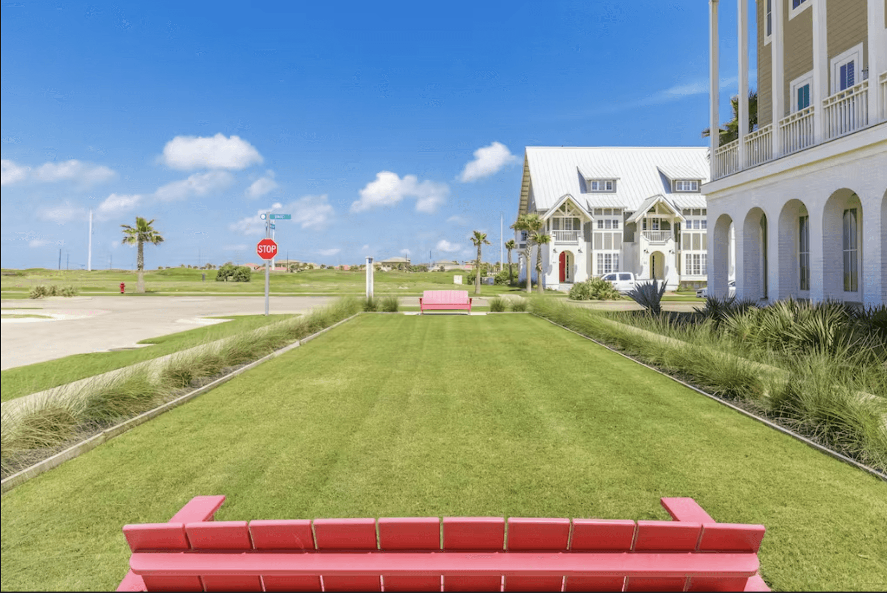 Wild Octopus Home - Image 26