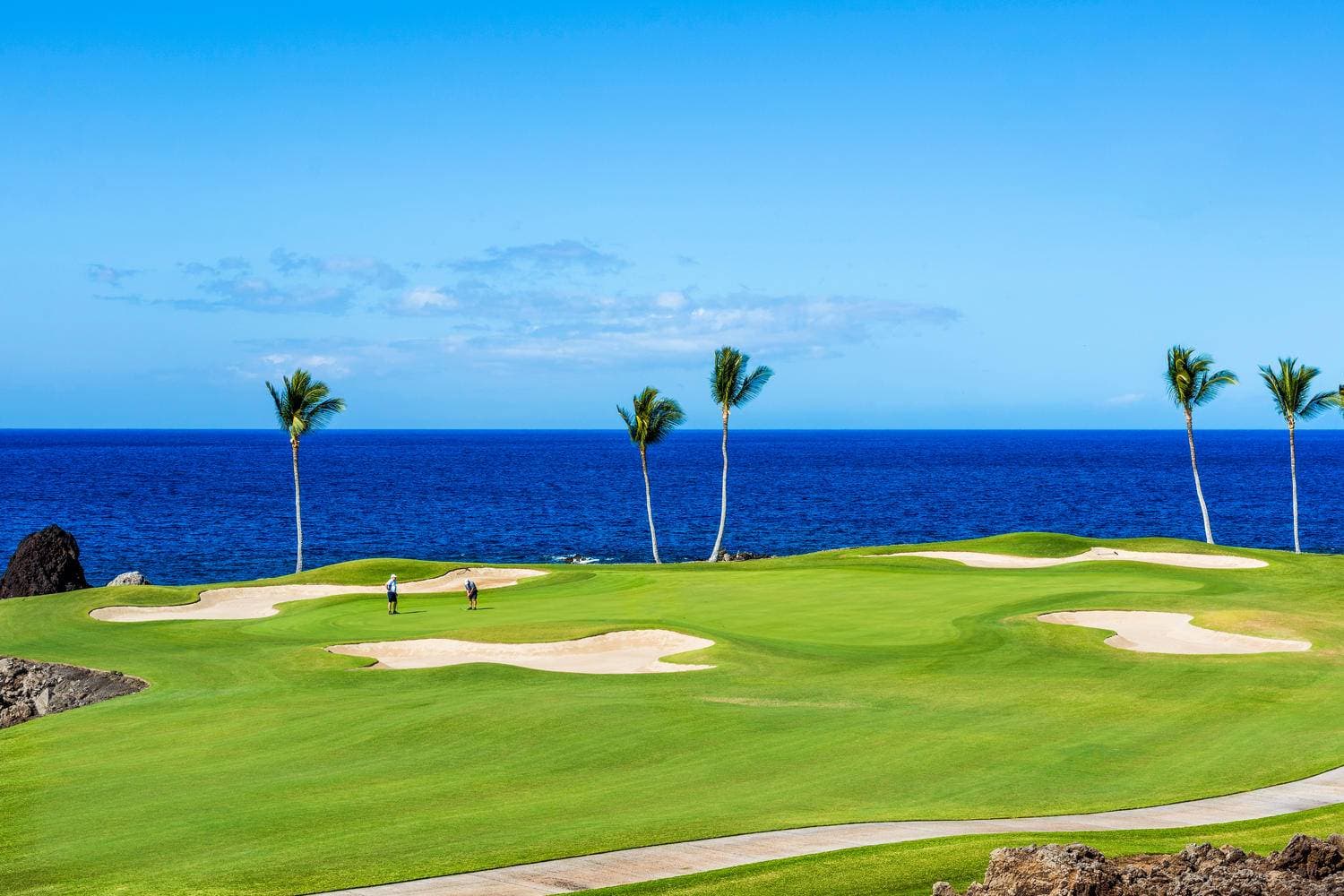 Mauna Lani Point B208 - Image 17