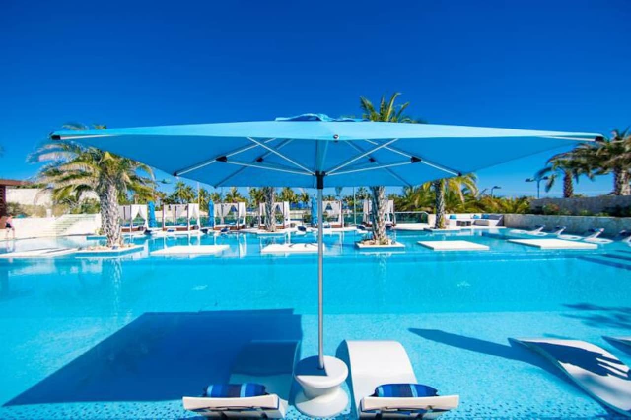 Coco Palma - Image 14