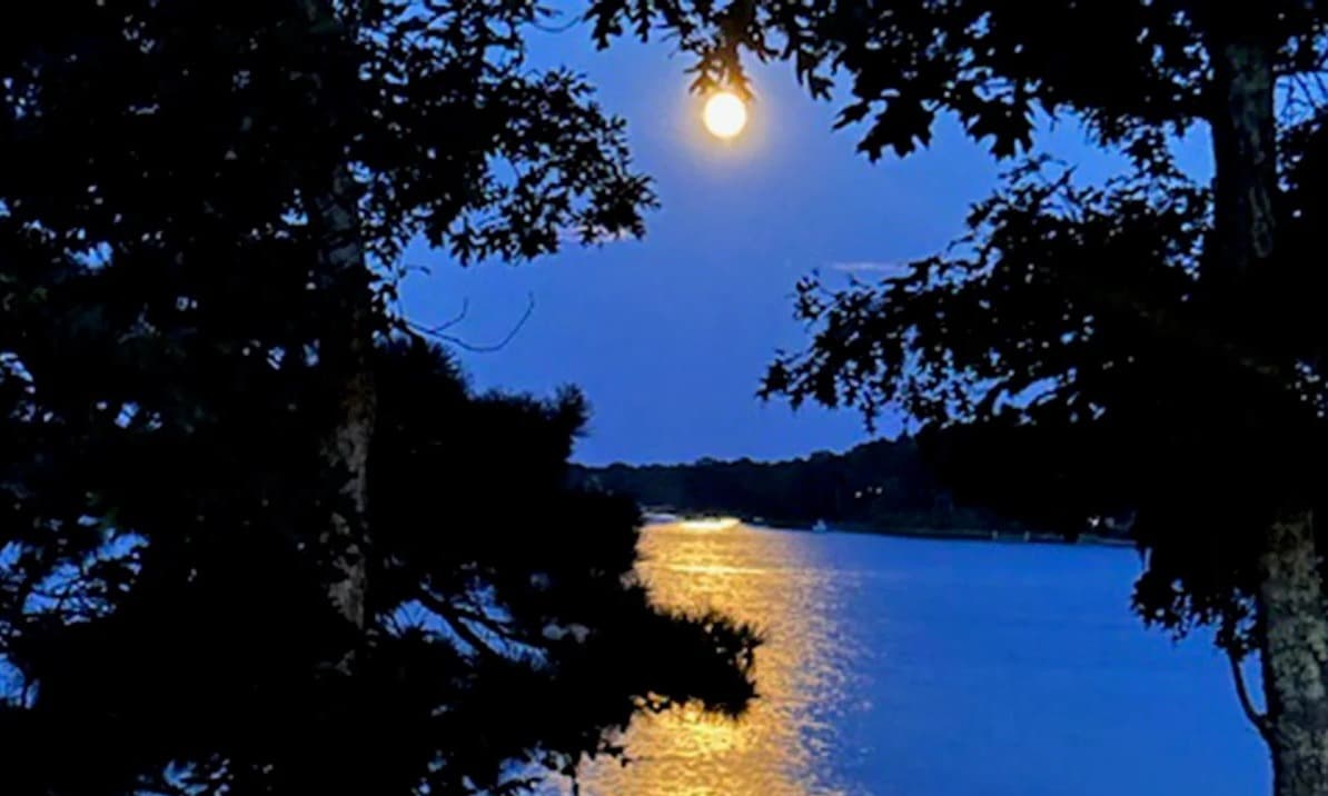 Bass River Lookout - Image 39