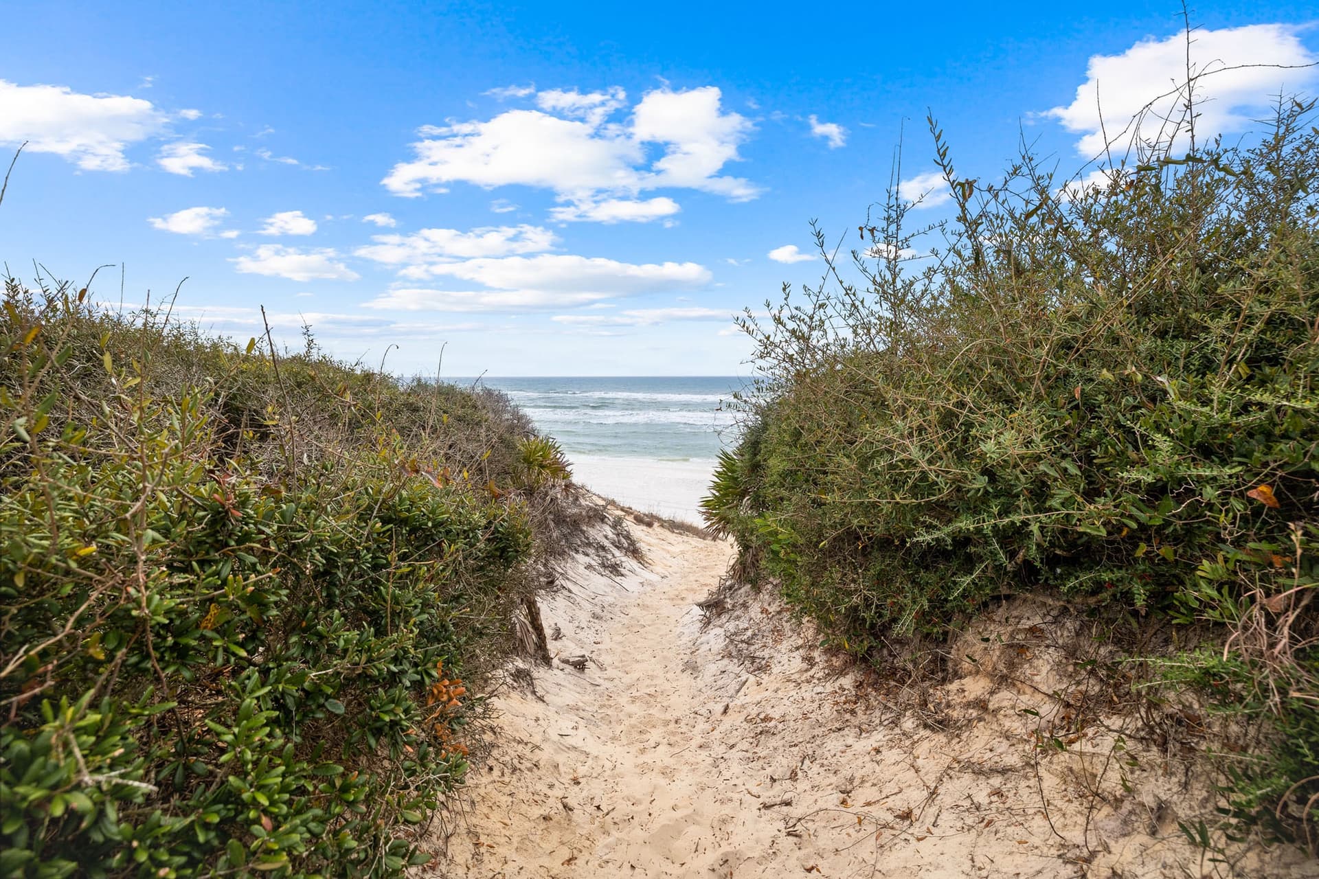 Breezy Blue - Image 60