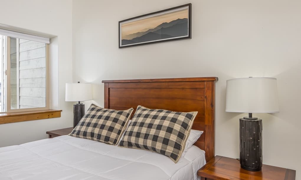 Blacktail Buck - Image 12