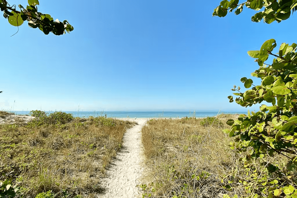 Reflections on the Gulf - Image 34