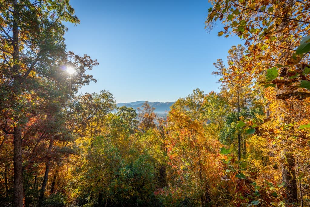 Falcon Ridge - Image 54