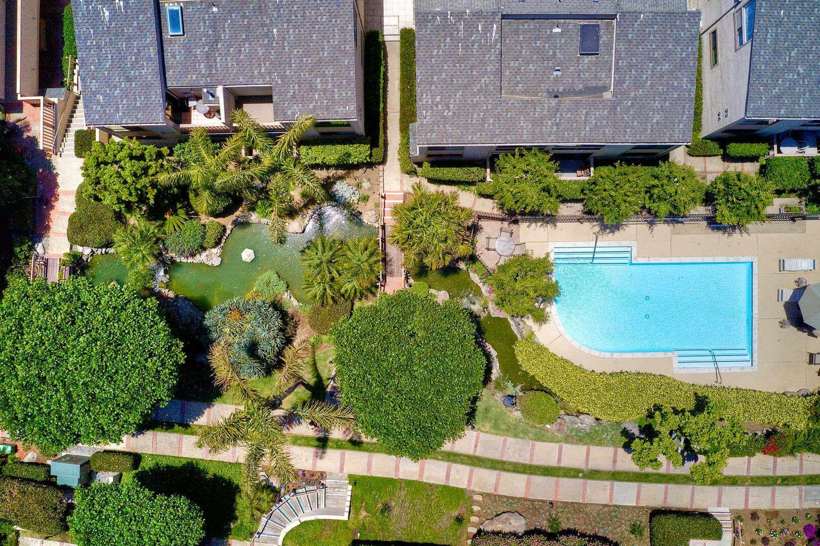 Seascape Sur #69 - Image 38