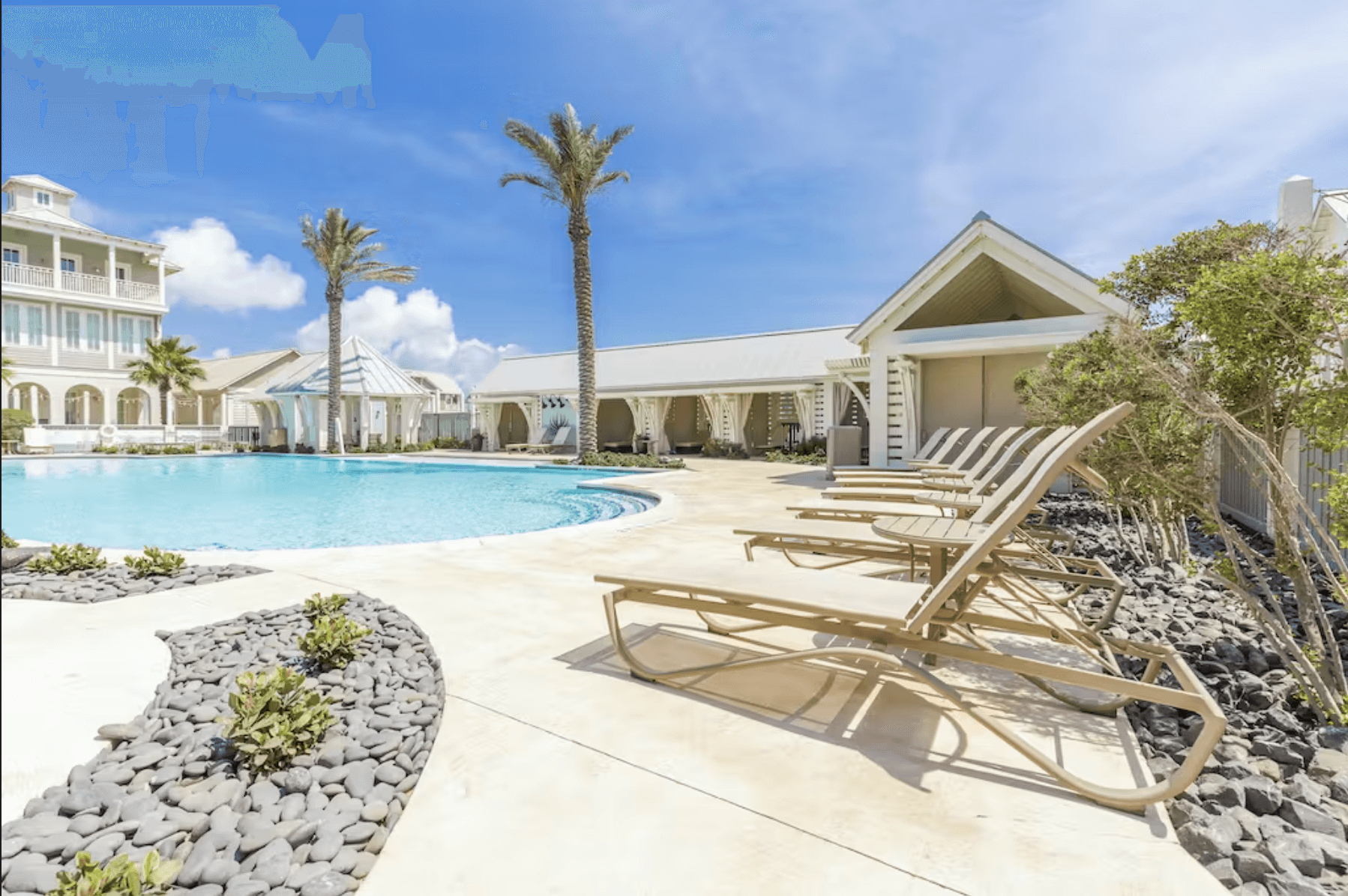 Wild Octopus Home - Image 29