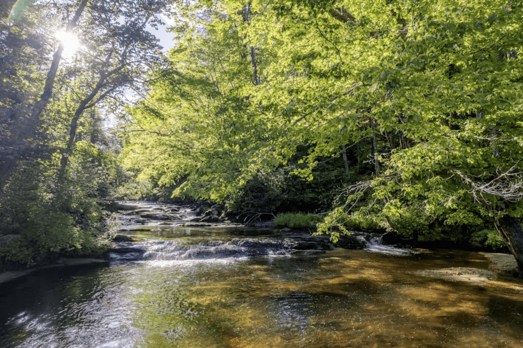 Whispering Creek - Image 3