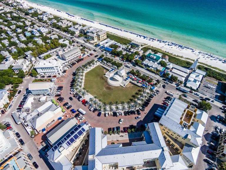 Sea Sabella - Image 42