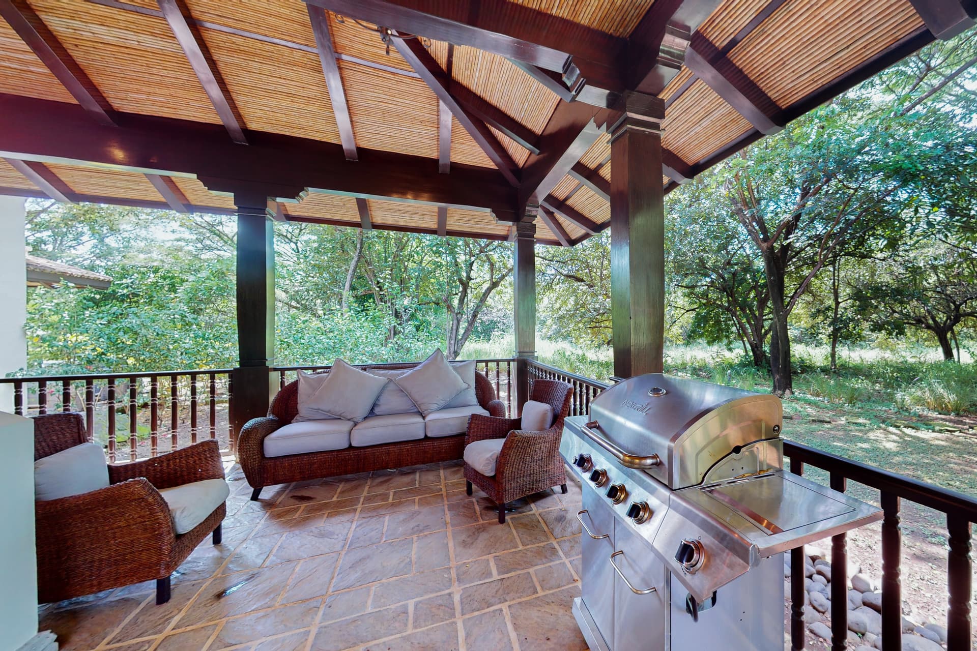 Pinilla Flor de Malinche - Image 3