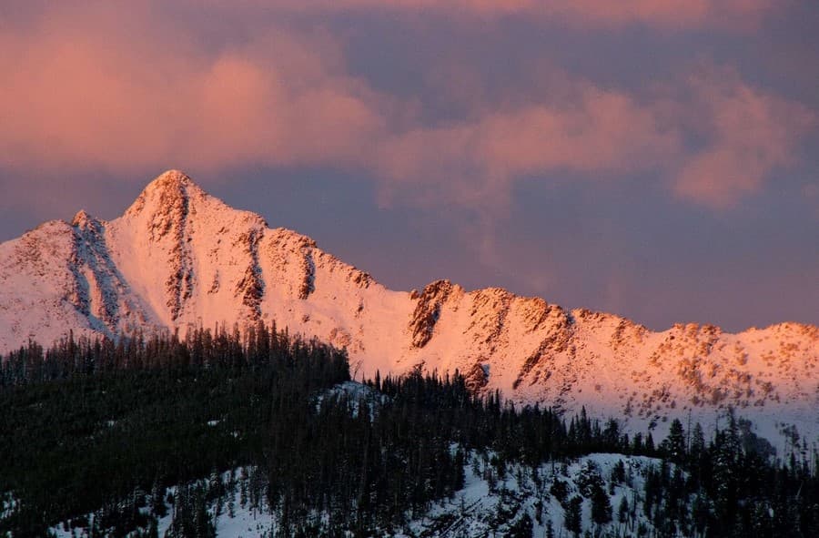 Beaverhead #202 - Image 4