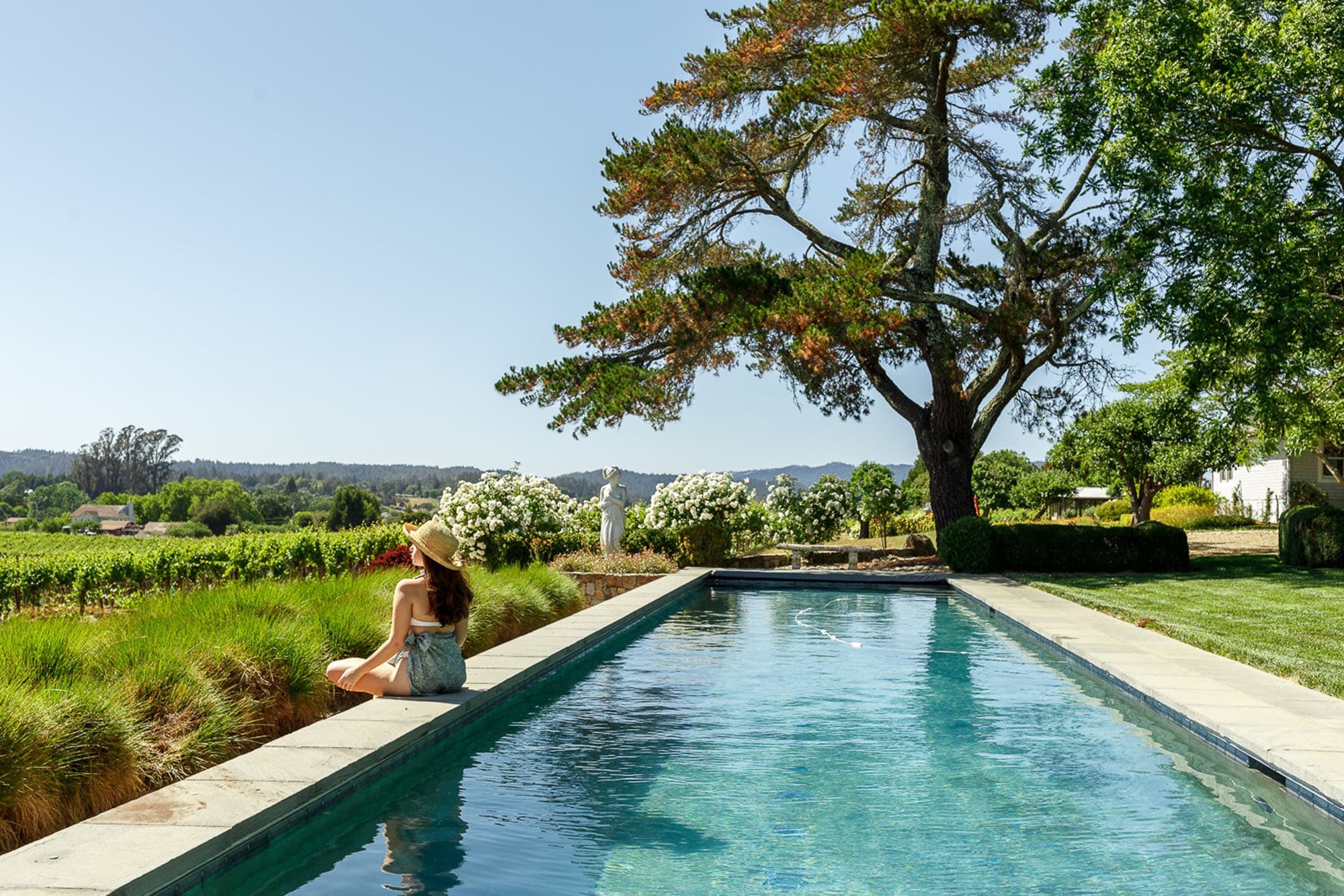 wine country_stop scrolling