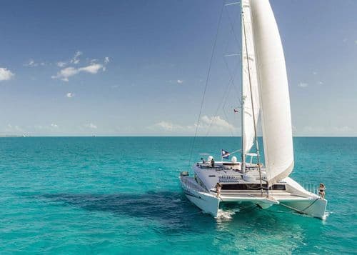 Blue Gryphon Catamaran - Image 2
