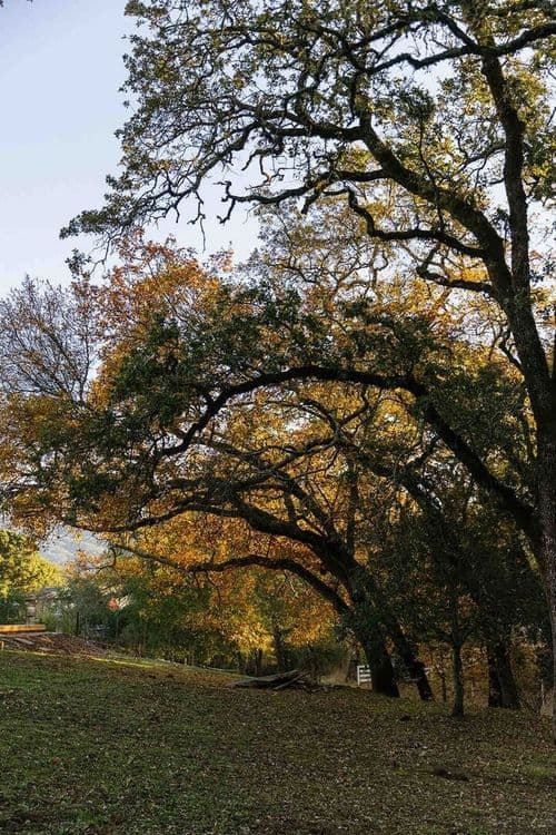 Arnold Creek Ranch - Image 64