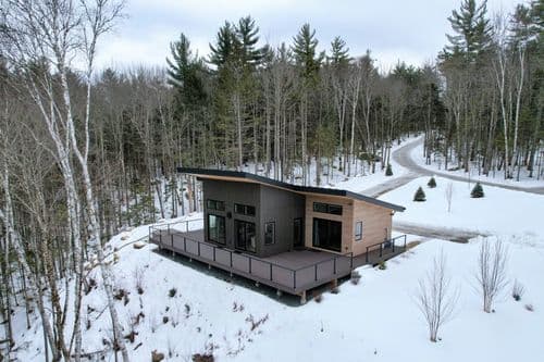 Hollow Tree Home - Image 1