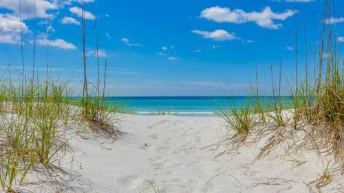 Barracuda Hideaway - Image 36